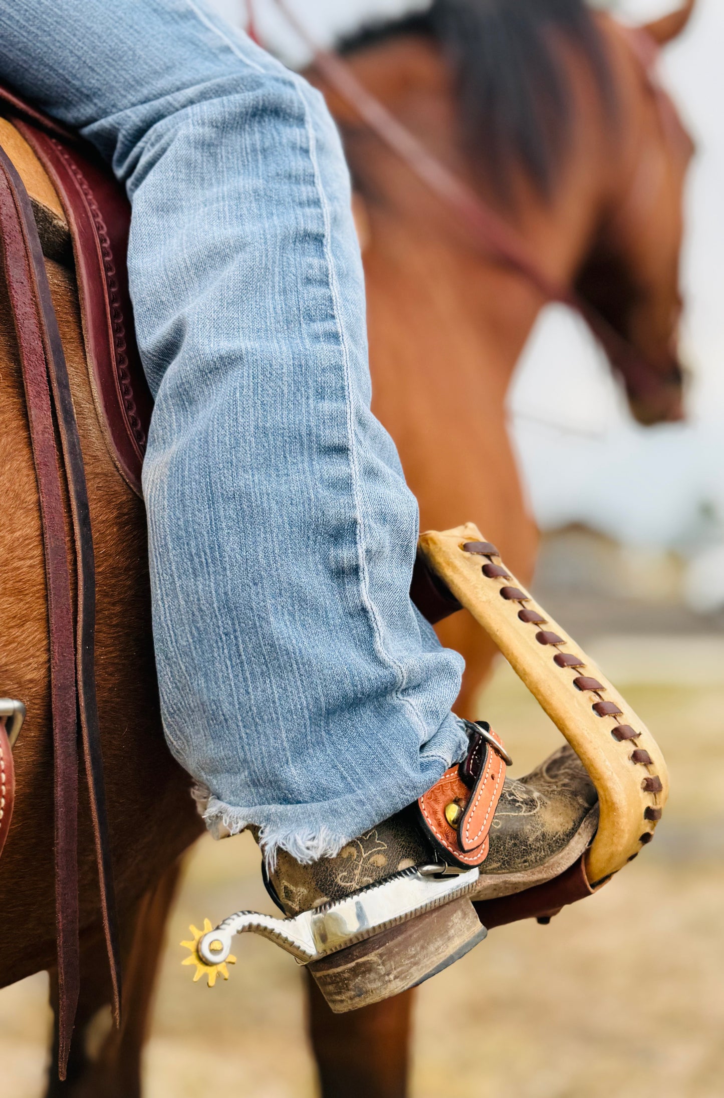 Cow Country Spurs
