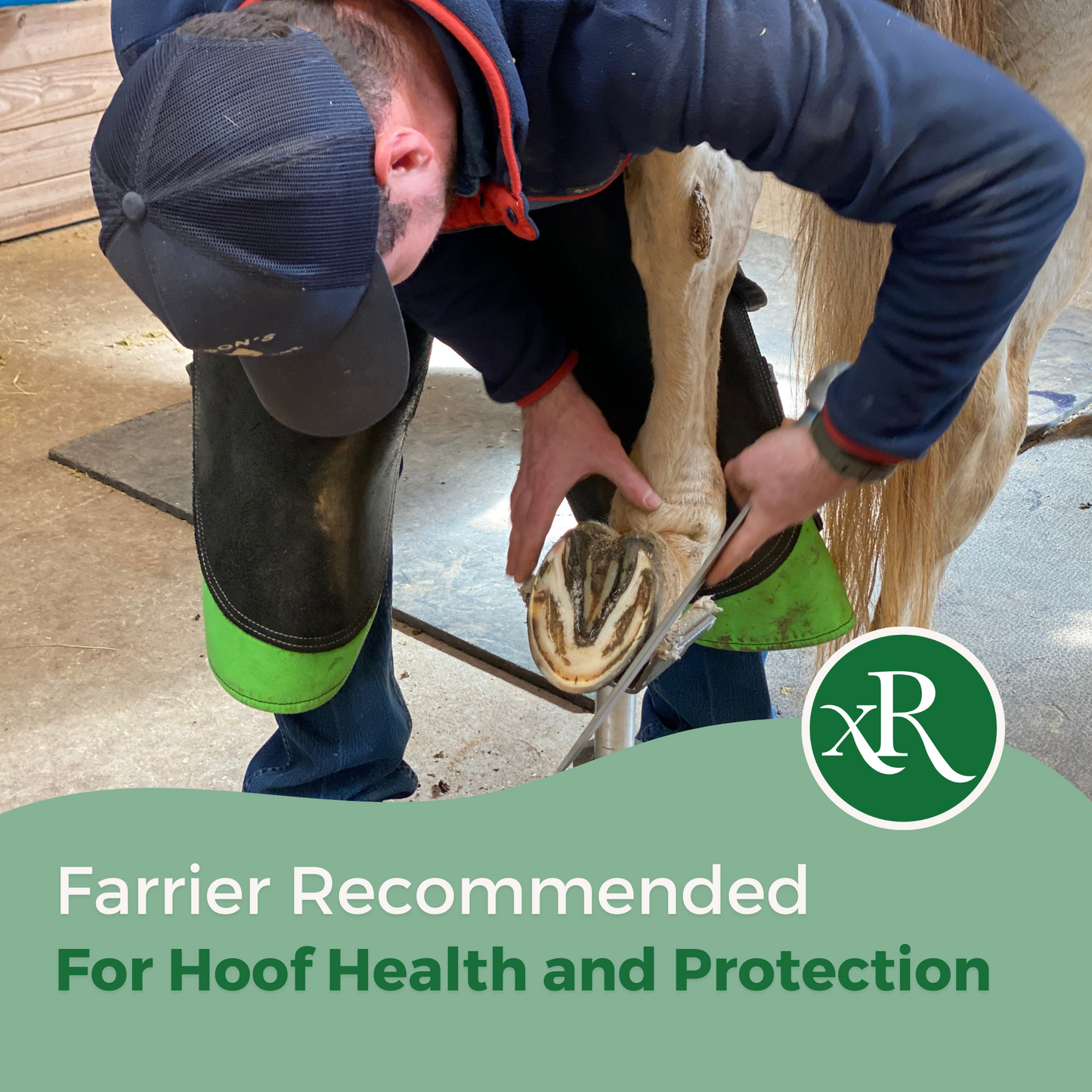 ExcelRescue Hoof Support