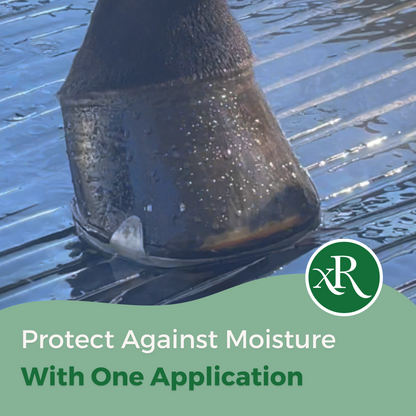 ExcelShine Hoof Oil