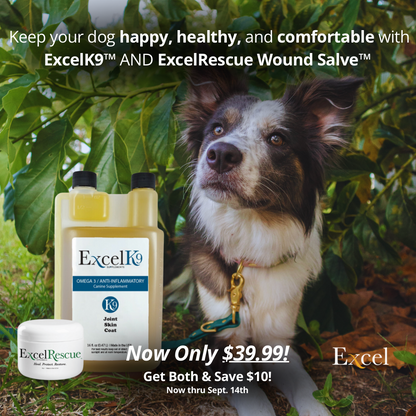 Dog Parent Savings Bundle