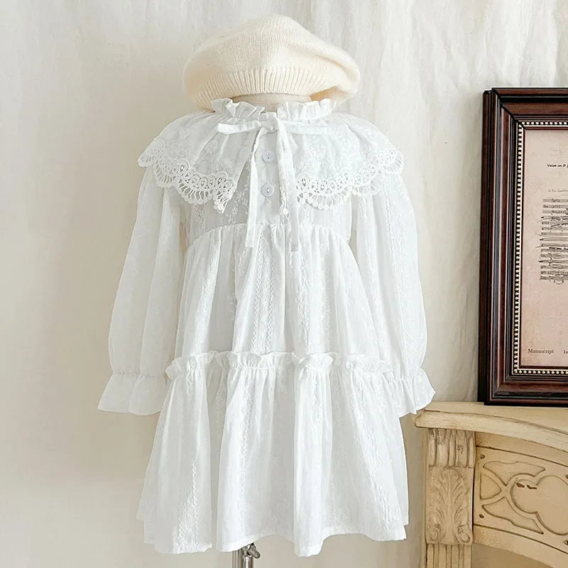 Lace Lapel Euro Style Dress