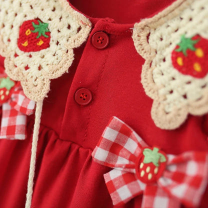 Strawberry Crochet Dress w Bag
