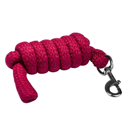 Gatsby Acrylic 6ft Lead Rope