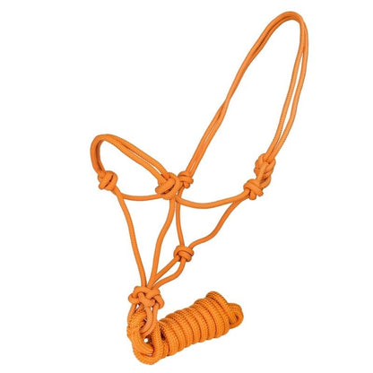 Tabelo Cowboy Rope Halter with Lead