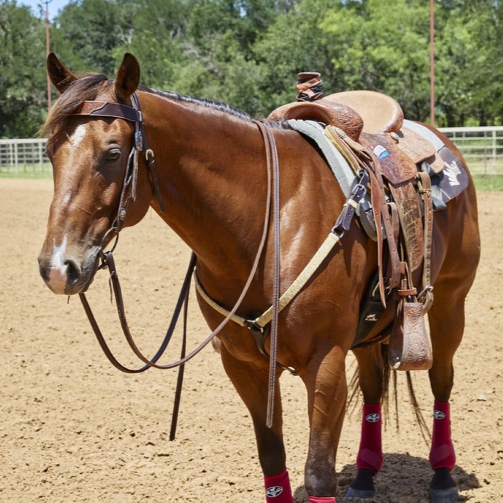 WD-1NRBC Braided Natural Rawhide 1in Straight Breast Collar
