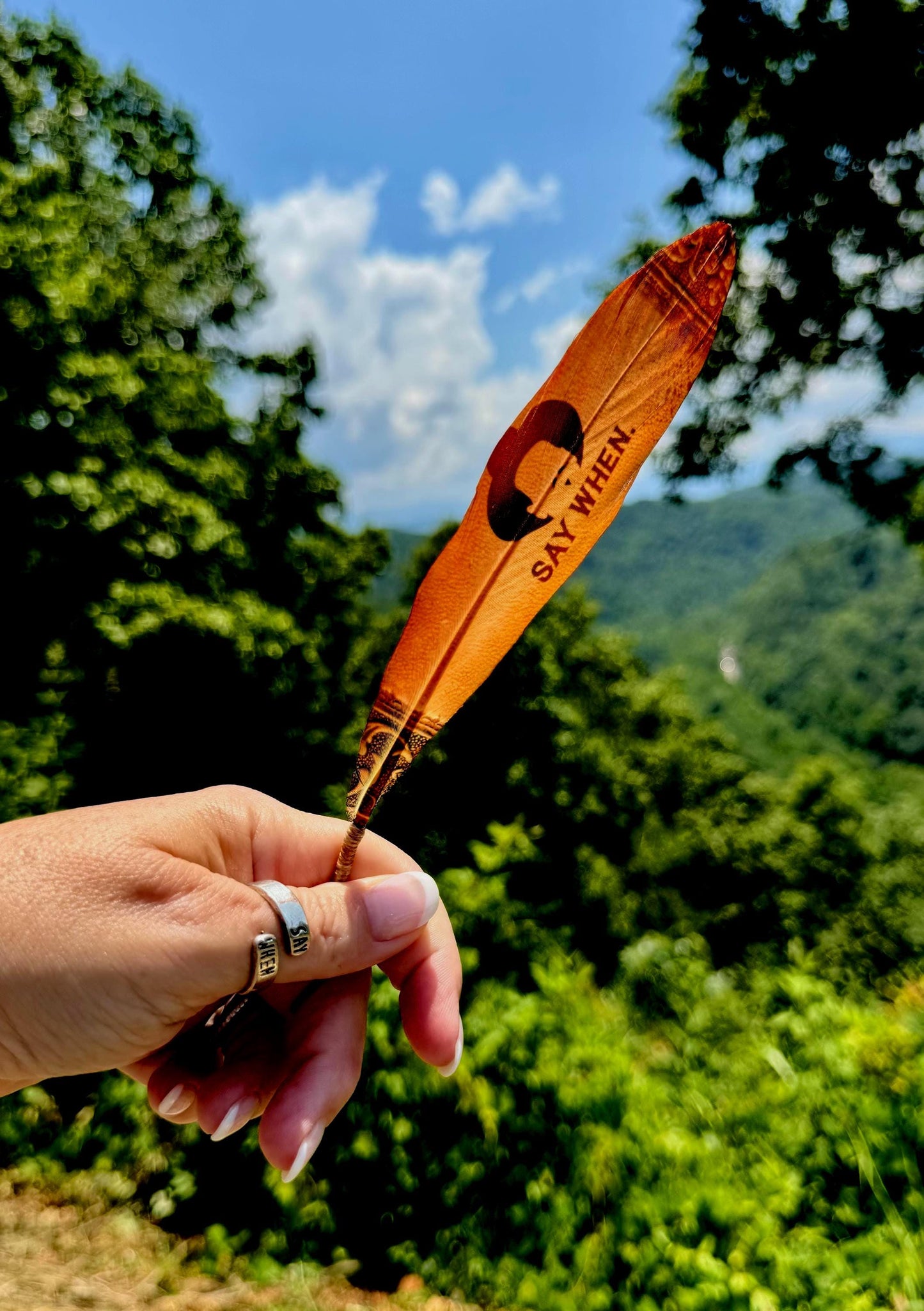 Say When Western Hat Feather