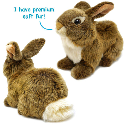 Brigid the Brown Rabbit 10" Plush — Forager Story (5"-Per-Year Teeth)