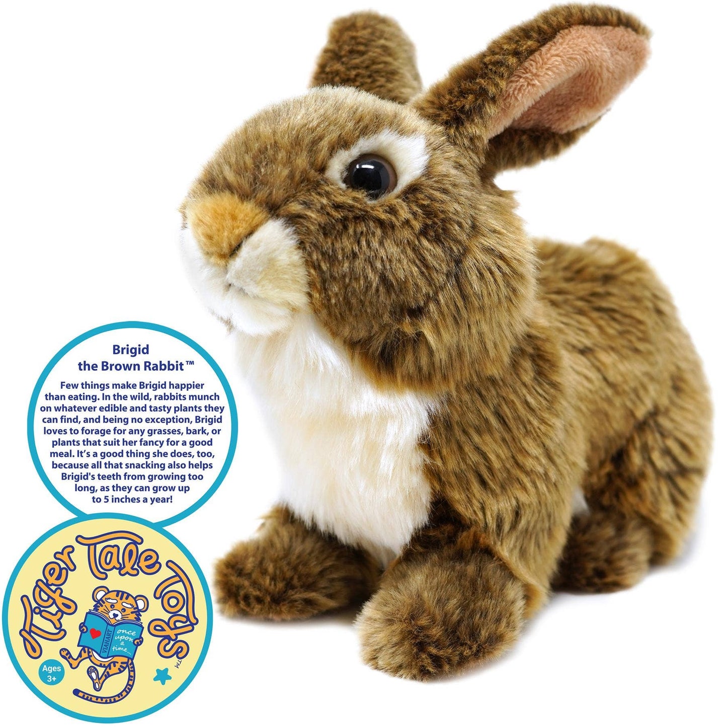 Brigid the Brown Rabbit 10" Plush — Forager Story (5"-Per-Year Teeth)