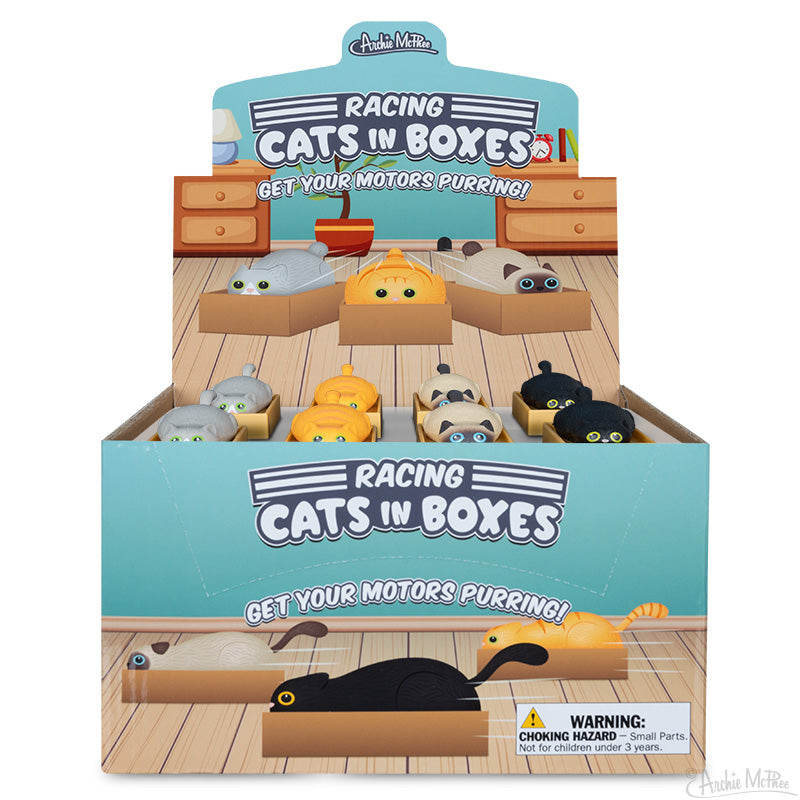 Racing Cats in Boxes (set of 4) Funny Pull Back Kitty Cat Toys - Archie McPhee