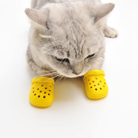 e78f01e8a46c64c2f9a1b43a4fcb346