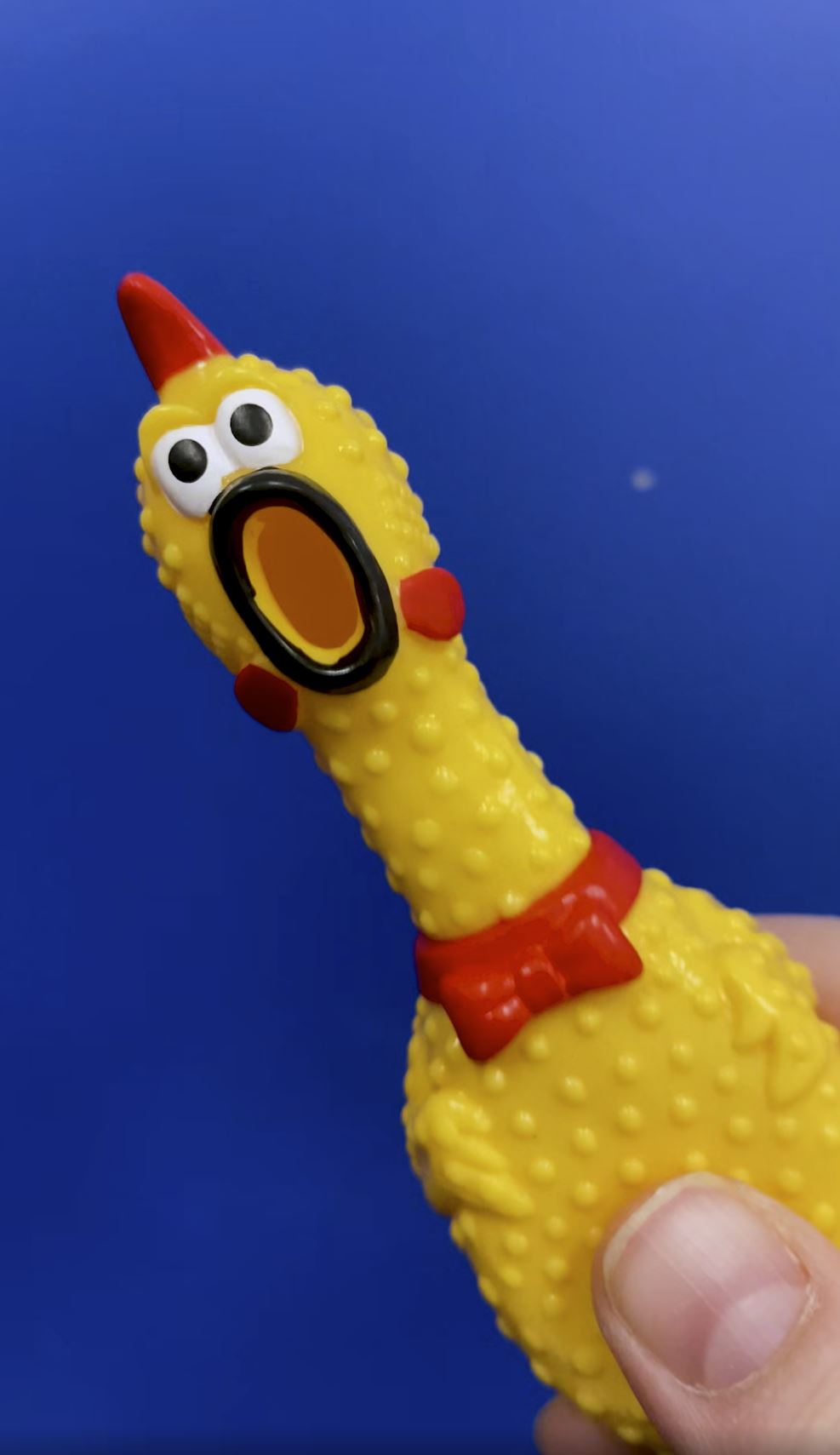 😂🐔 Set of 2 – 7" Rubber Chicken Pens 🖊️ (Yes… This Is Real Life) Funny Gag