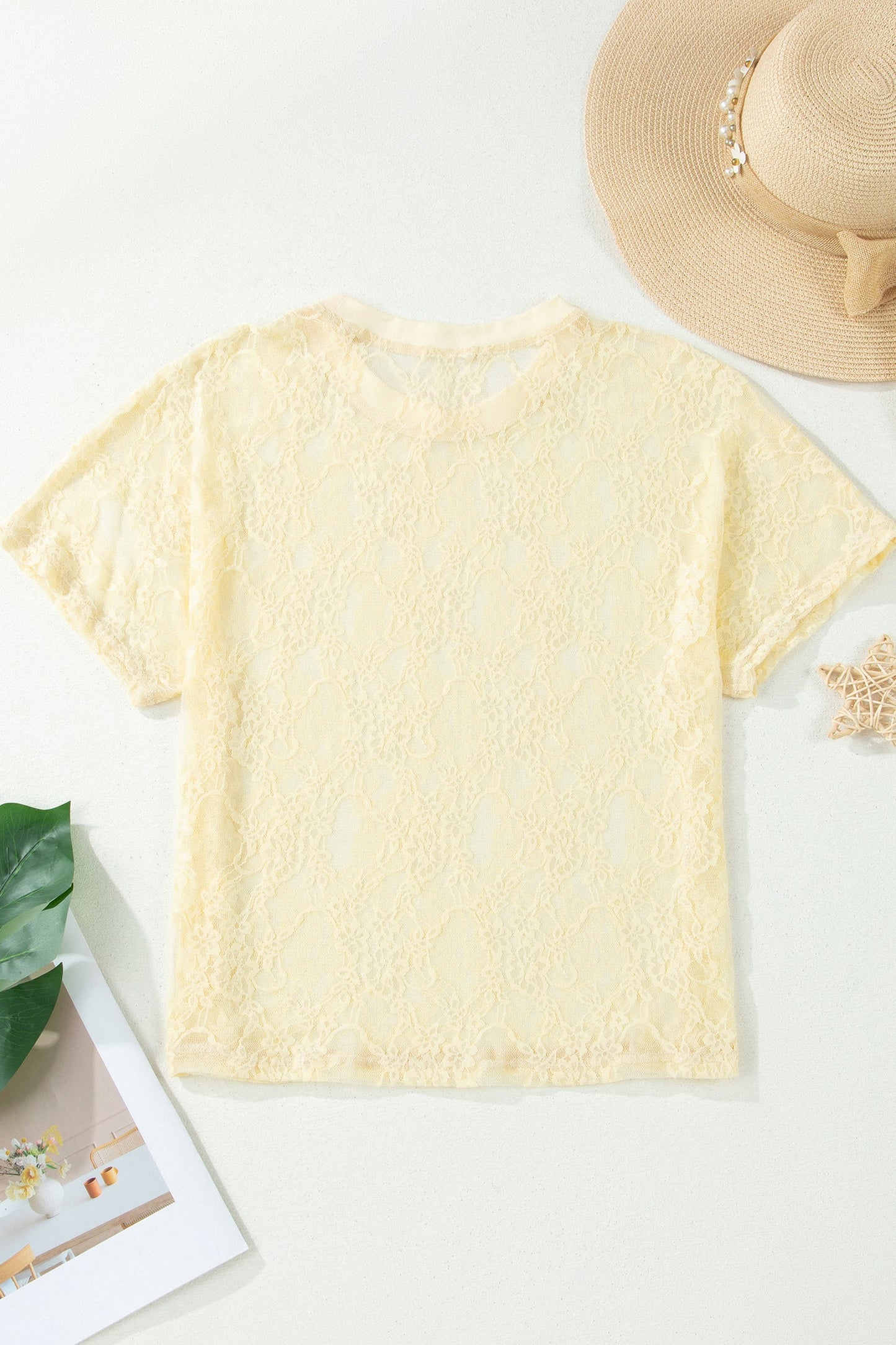 Solid Sheer Lace Short Sleeve Boxy Tee