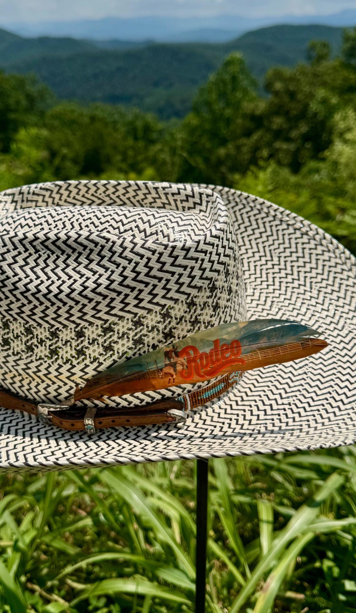 Rodeo Western Hat Feather