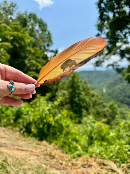 Buffalo Sunset Hat Feather