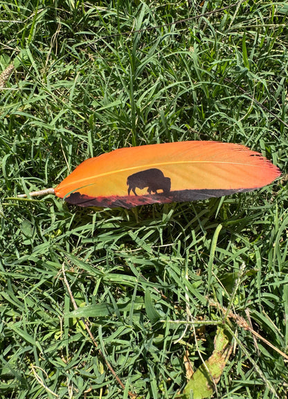 Buffalo Sunset Hat Feather