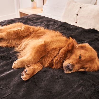 PupProtector™ Summer Short Fur Waterproof Throw Blanket - Midnight Black