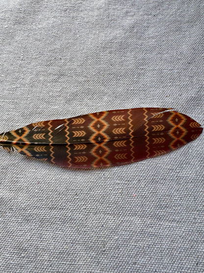 Faded Southwestern Western Hat Feather