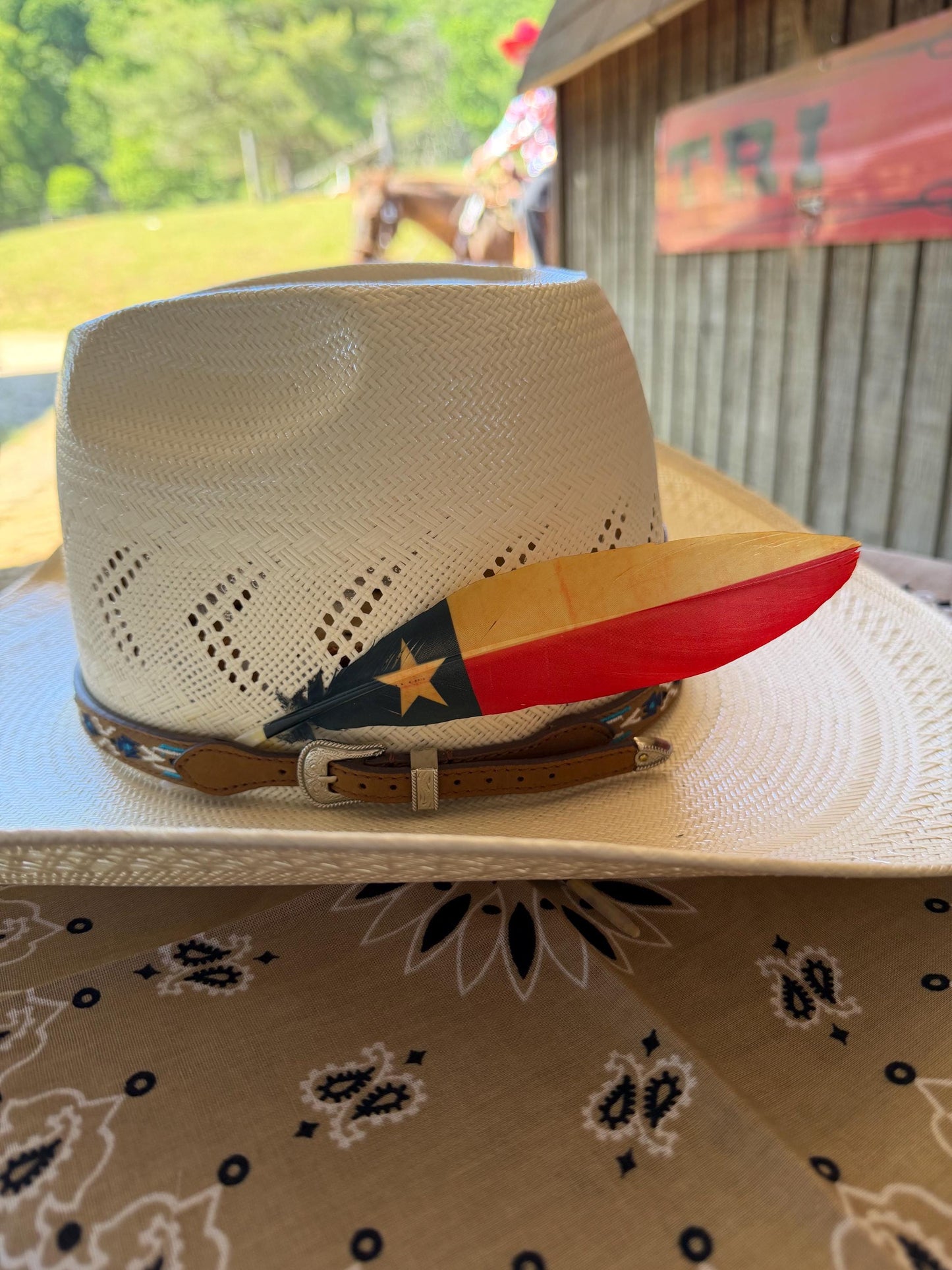 Texas Flag Western Hat Feather