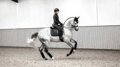 LeMieux Loire Classic Dressage Square