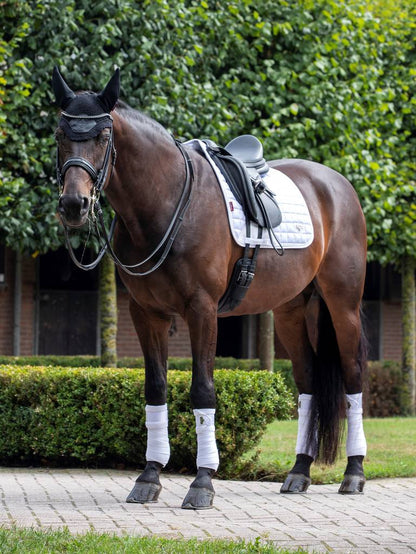 LeMieux Loire Classic Dressage Square