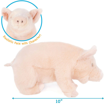 Perla the Pig 11" Plush — Western Farm Friend (Smart Pig Story)
