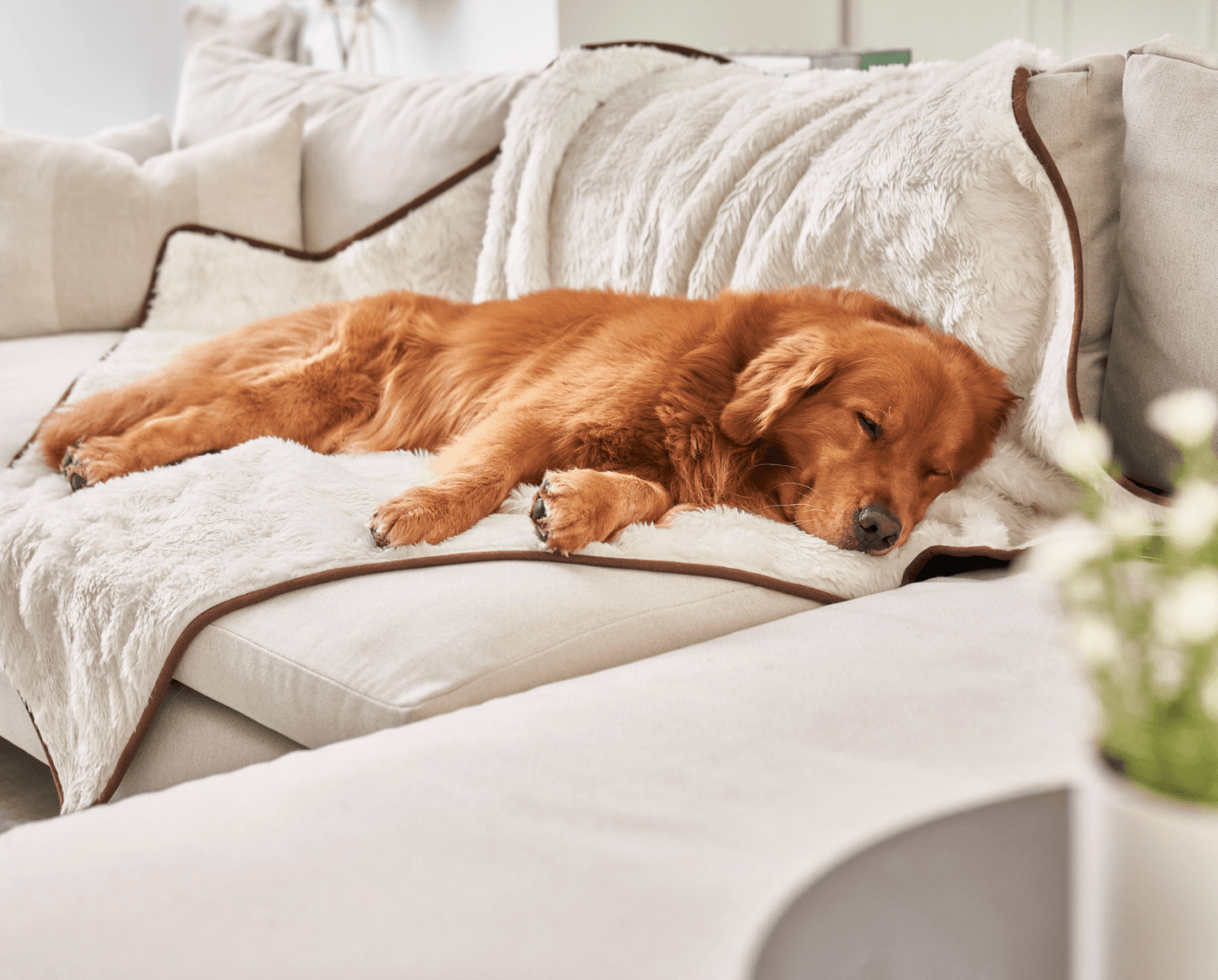PupProtector™ Summer Short Fur Waterproof Throw Blanket - Polar White