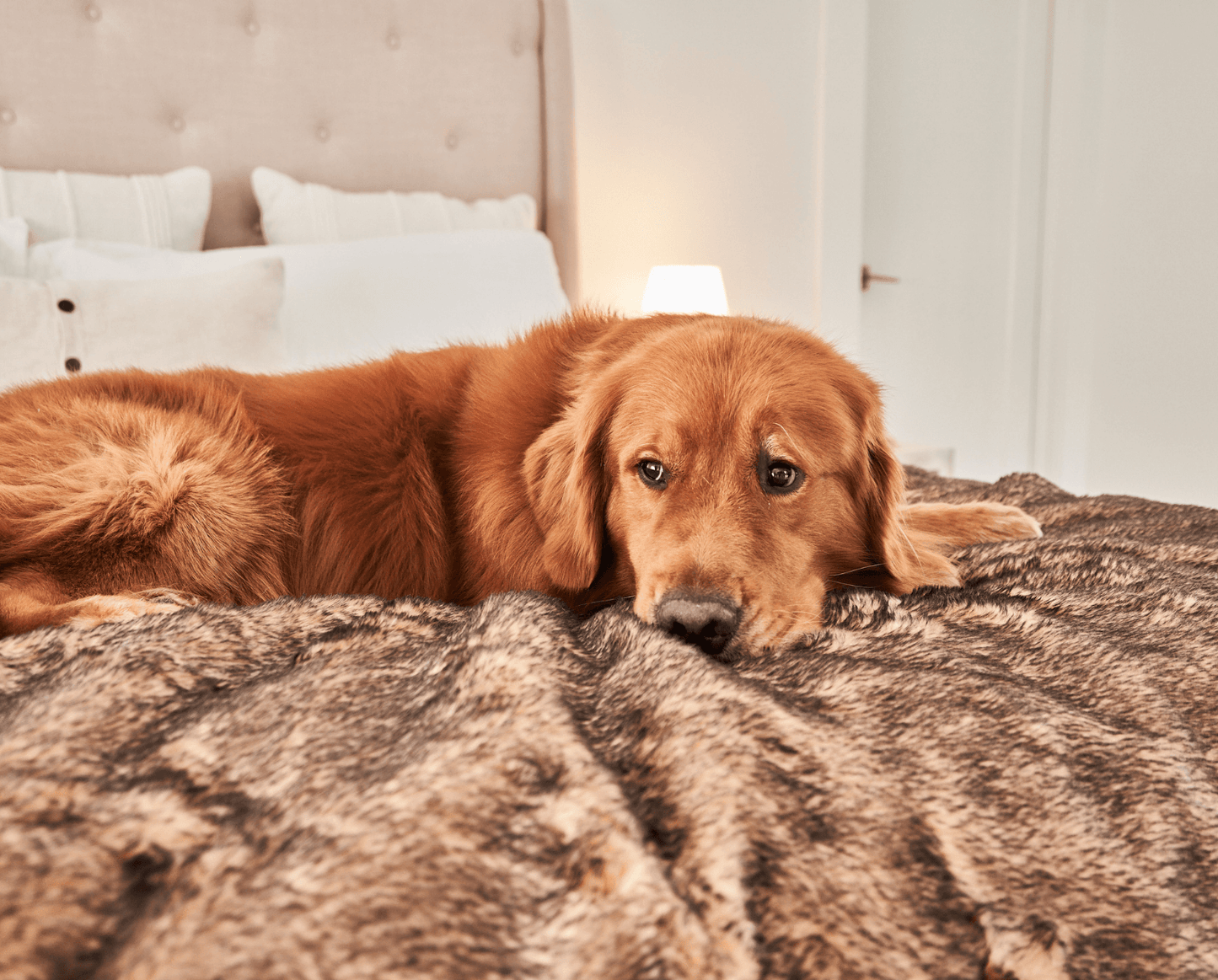 PupProtector™ Summer Short Fur Waterproof Throw Blanket - Sable Tan