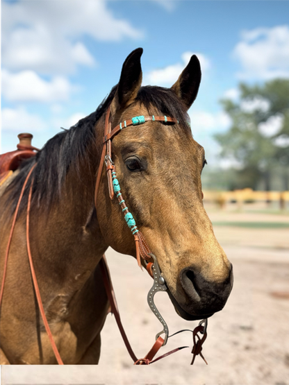 Colorado Gold 5/8" Skirting Reins