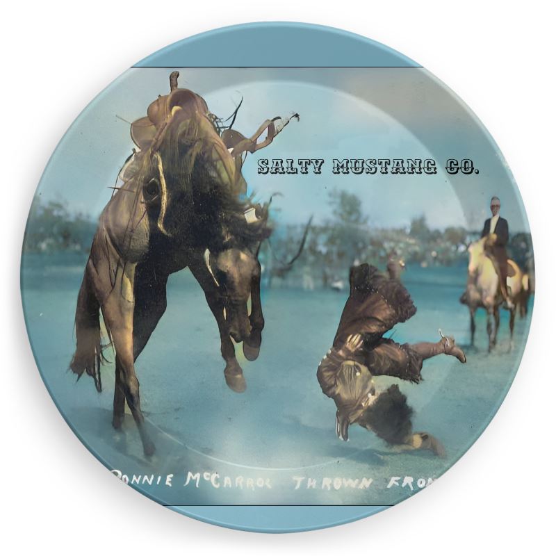 Salty Mustang Co. Assorted Western Party Plates
